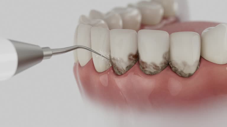 Reliable Dental contractor in Clinton, OH by Dentist Open Now